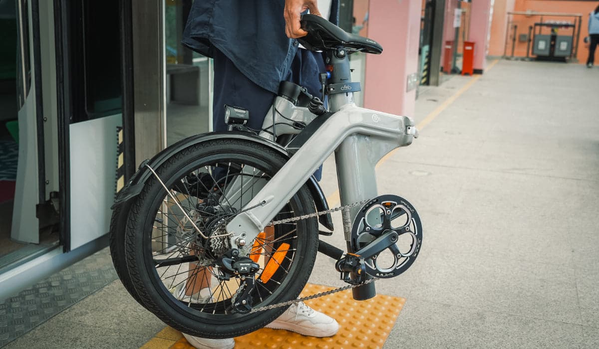 Fiido D11 folding electric bike, side view