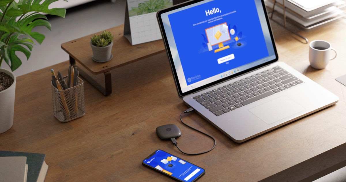 Synology BeeDrive Review: Compact SSD Backup