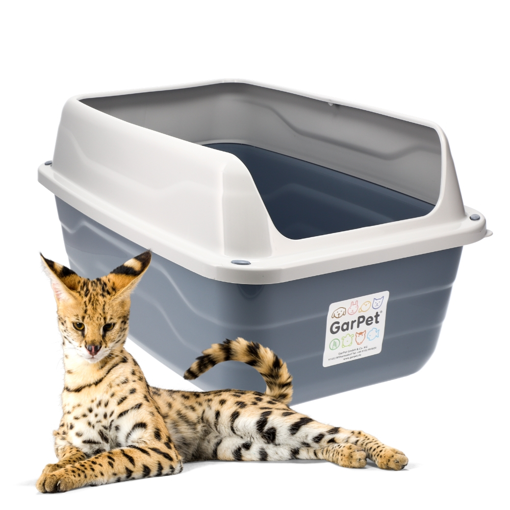 Best Cat Litter Trays 2026: Which Should You Buy?